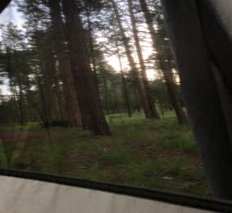 Camper-submitted photo from Alpine Divide Campground