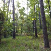 Review photo of The Lakeshore Campground — Santee State Park by Jorah , June 26, 2022