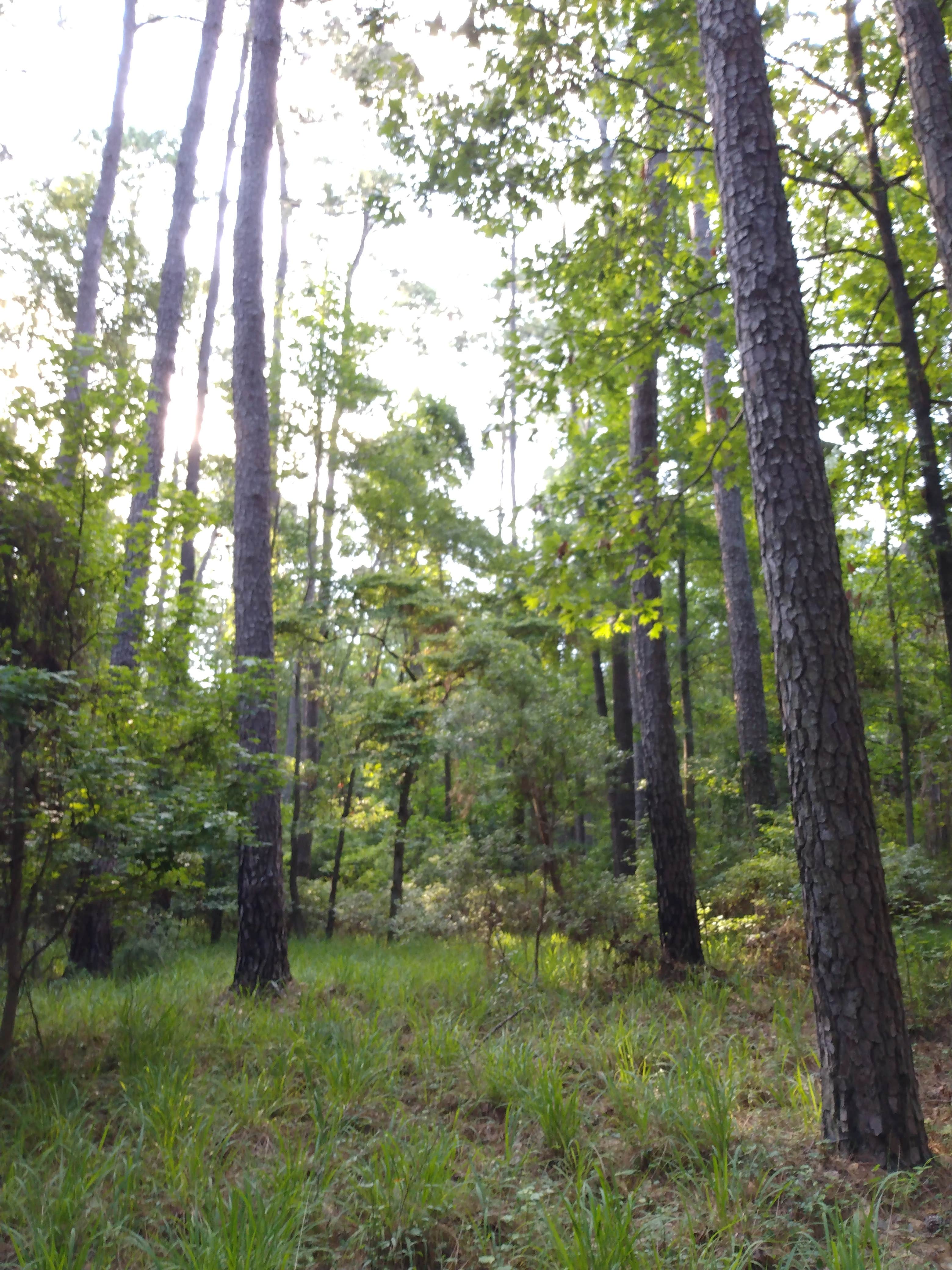 Camper submitted image from The Lakeshore Campground — Santee State Park - 2