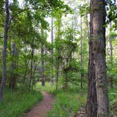 Review photo of The Lakeshore Campground — Santee State Park by Jorah , June 26, 2022