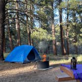 Review photo of North Rim Campground — Grand Canyon National Park by LoneCamper C., June 26, 2022