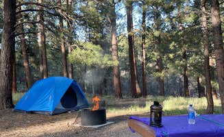 LoneCamper C.'s photo at North Rim Campground (Closed for Remainder of 2025)— Grand Canyon National Park near North Rim, AZ