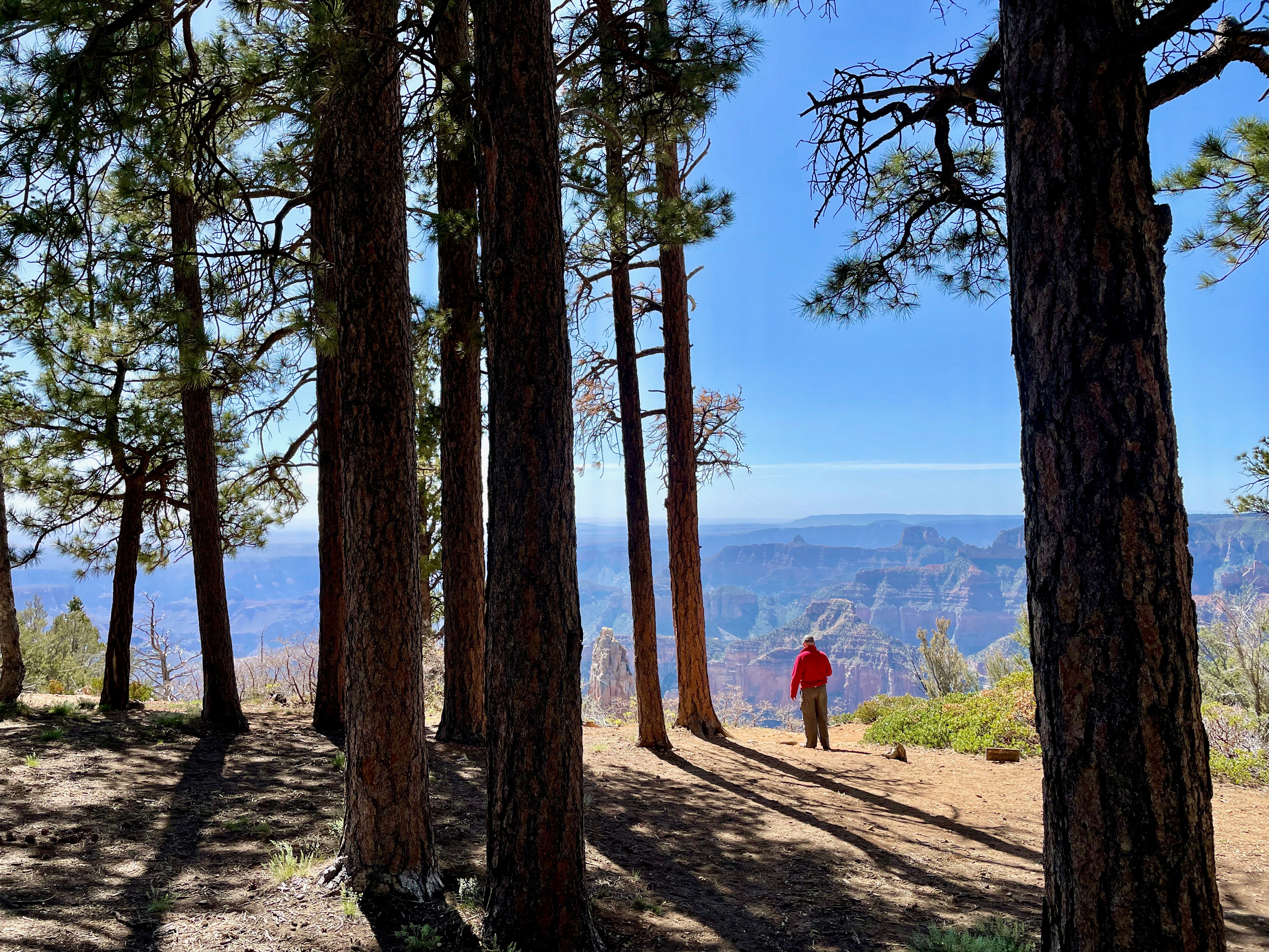Camper submitted image from North Rim Campground — Grand Canyon National Park - 1