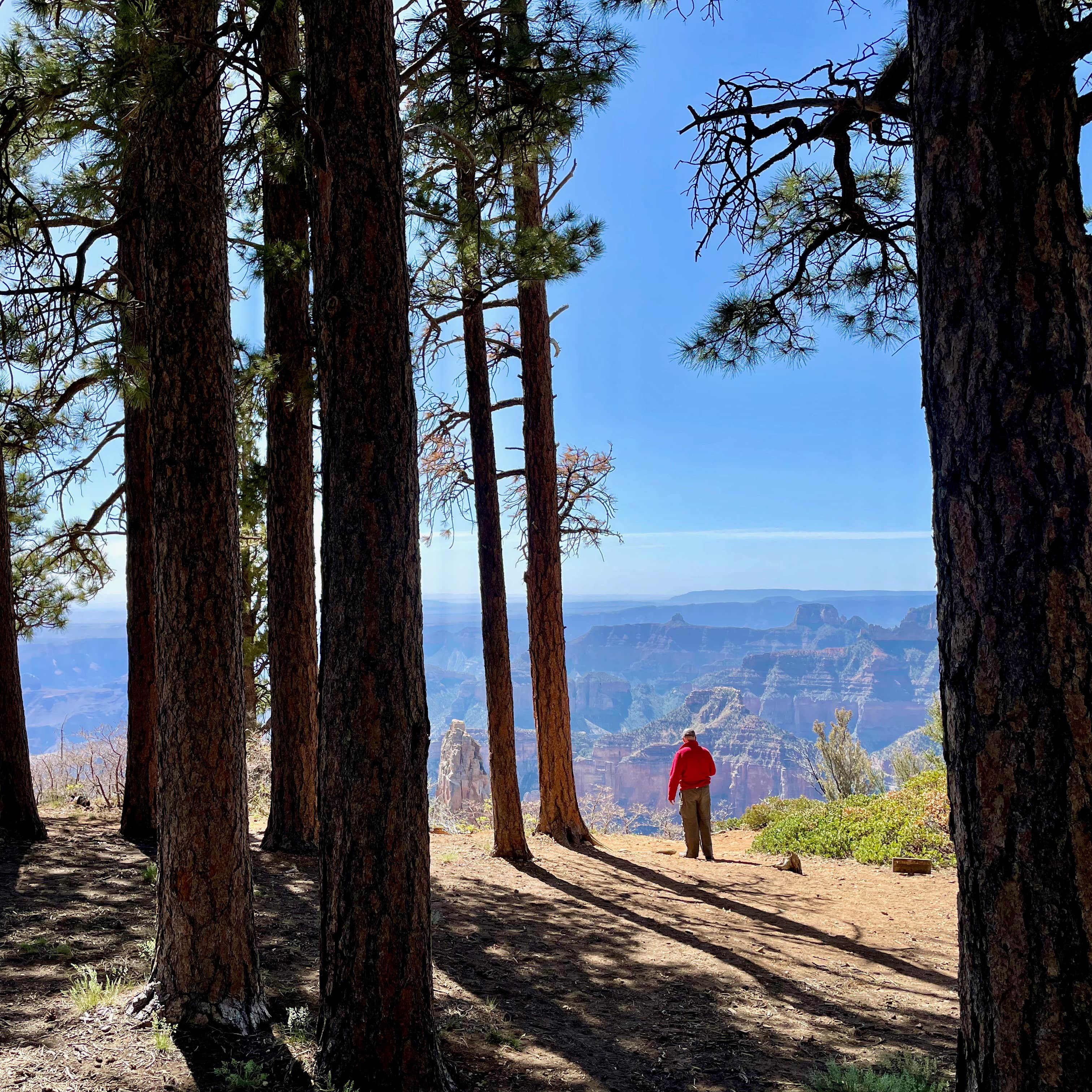 North Rim Campground (Closed for Remainder of 2025)— Grand Canyon National Park