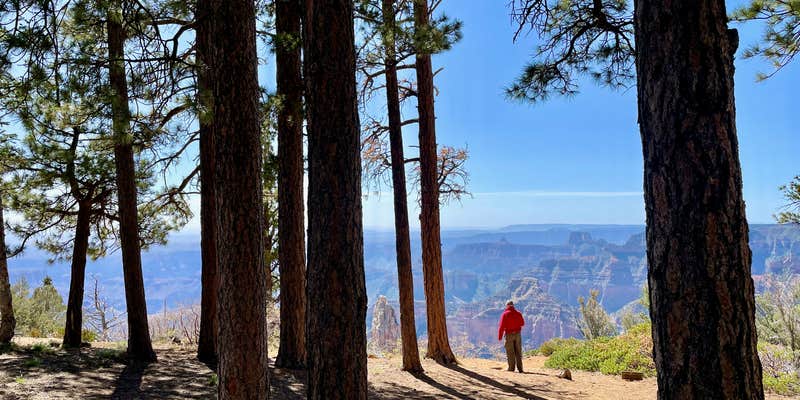 Camper submitted image from North Rim Campground (Closed for Remainder of 2025)— Grand Canyon National Park