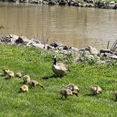 Review photo of Indian Lake State Park Campground by Napunani , June 26, 2022