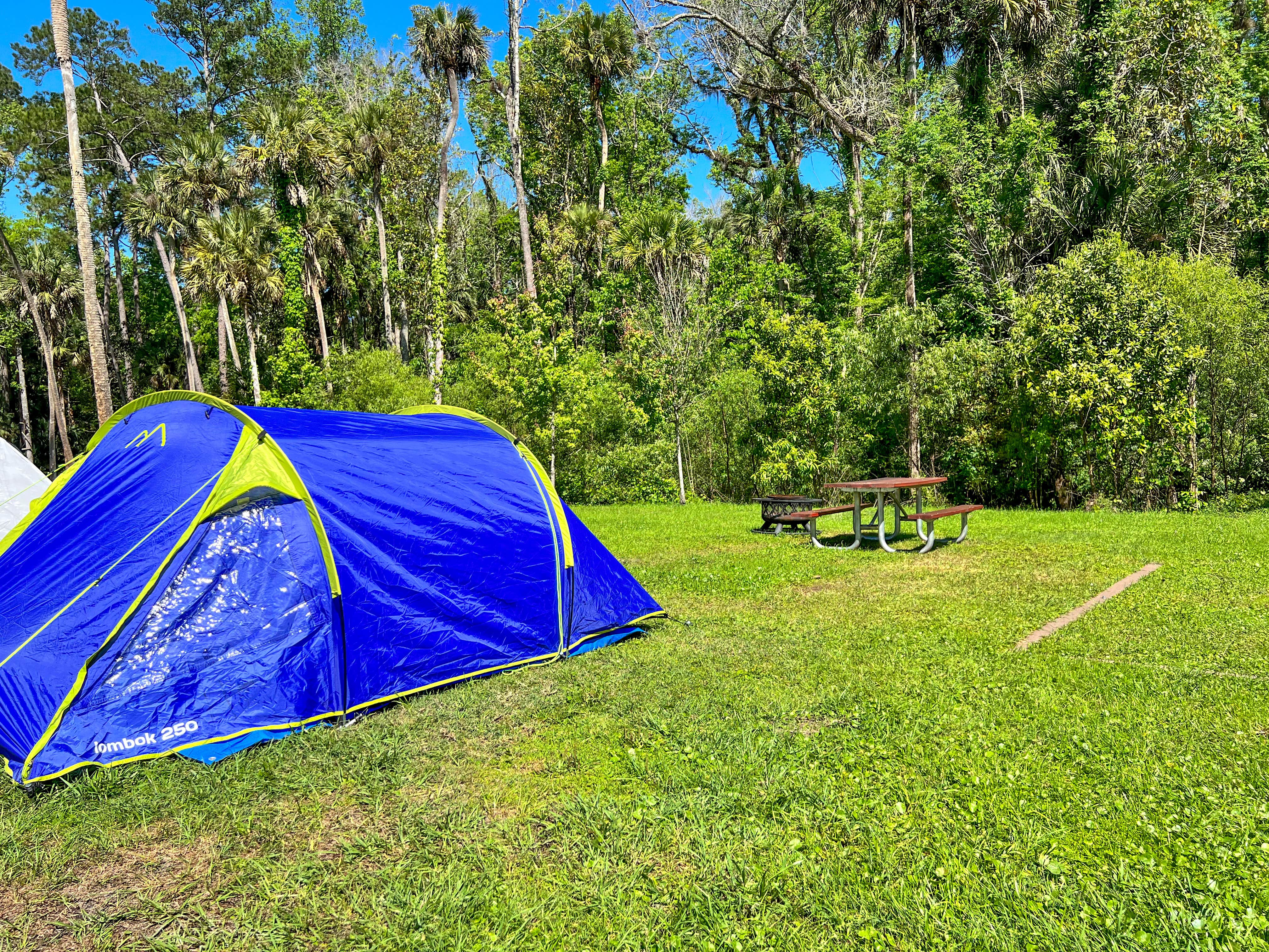 Camper-submitted photo at King's Landing near Orange City, FL