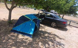Timmy B.'s photo at Willow Park Campground near Taylorsville, UT