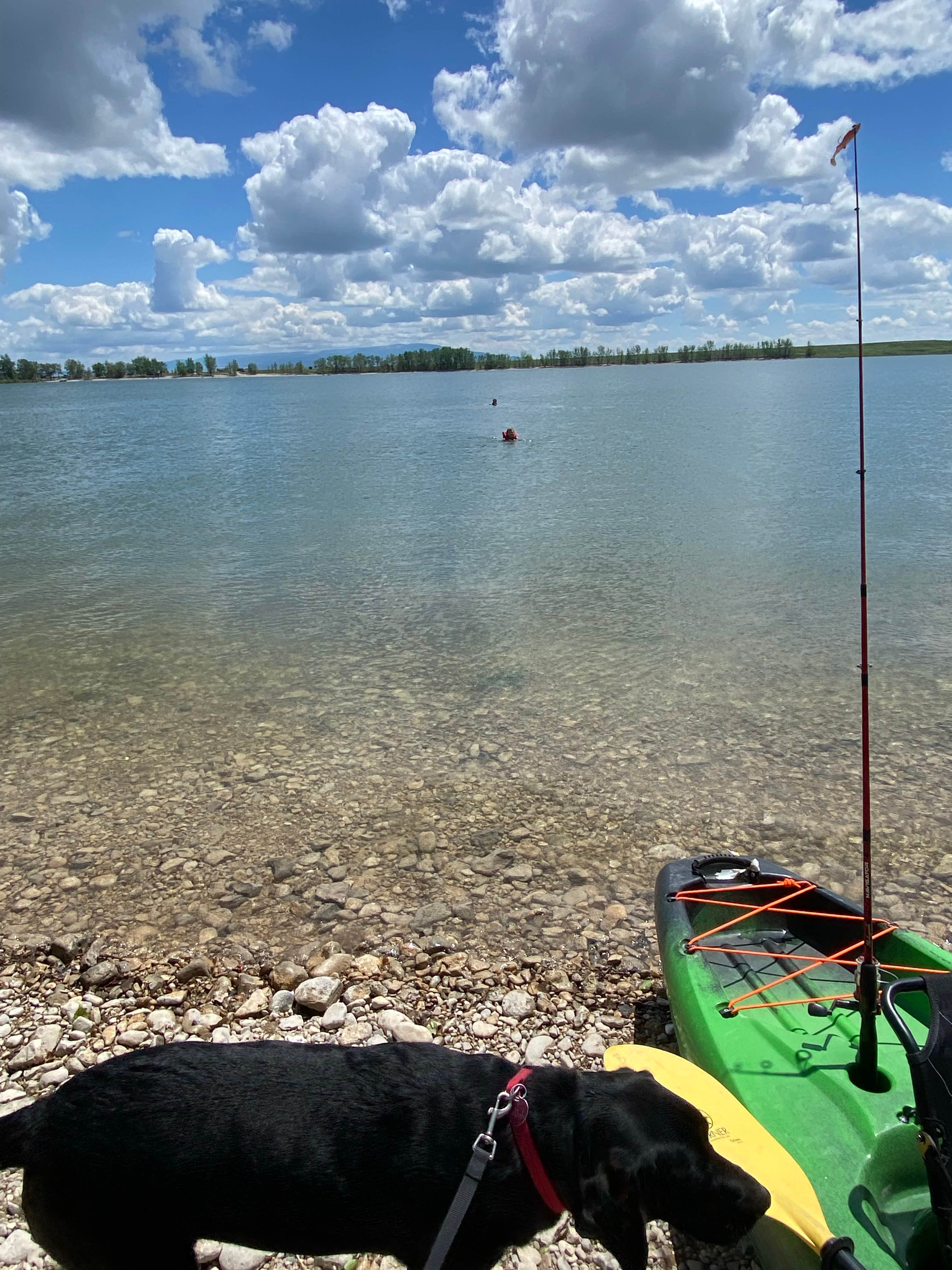 Scott B.'s photo of camping with pets at Ackley Lake State Park Campground near Lewistown, MT