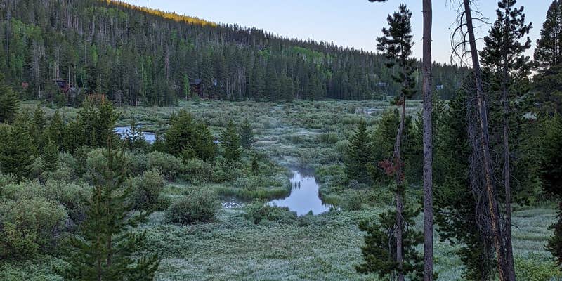 Camper submitted image from Christmas Meadows Campground