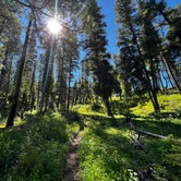 Review photo of Sawtooth National Forest Baumgartner Campground by Christian R., June 26, 2022