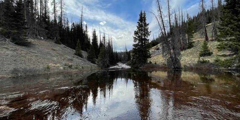 Camper submitted image from Schinzel Flats - Glamping Redefined!