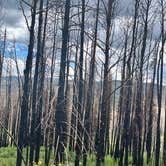 Review photo of Stillwater Pass Dispersed Campsite by amie M., June 26, 2022