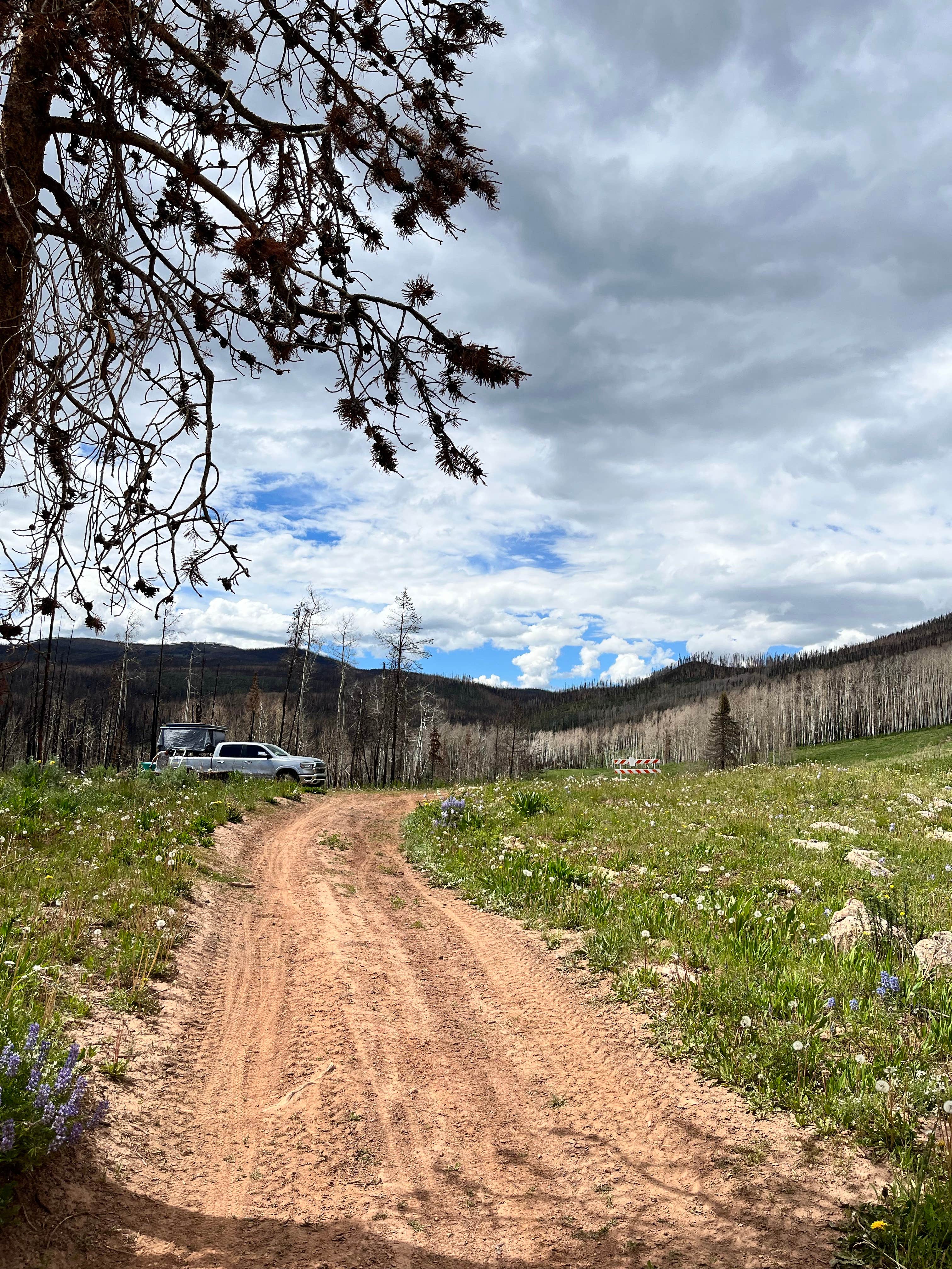 Camper submitted image from Stillwater Pass Dispersed Campsite - 4