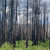 Review photo of Stillwater Pass Dispersed Campsite by amie M., June 26, 2022