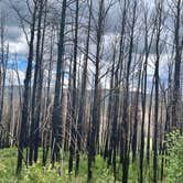 Review photo of Stillwater Pass Dispersed Campsite by amie M., June 26, 2022