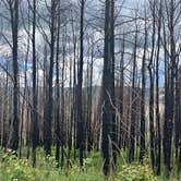 Review photo of Stillwater Pass Dispersed Campsite by amie M., June 26, 2022