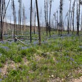 Review photo of Stillwater Pass Dispersed Campsite by amie M., June 26, 2022