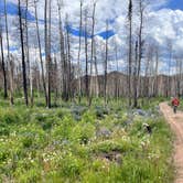 Review photo of Stillwater Pass Dispersed Campsite by amie M., June 26, 2022