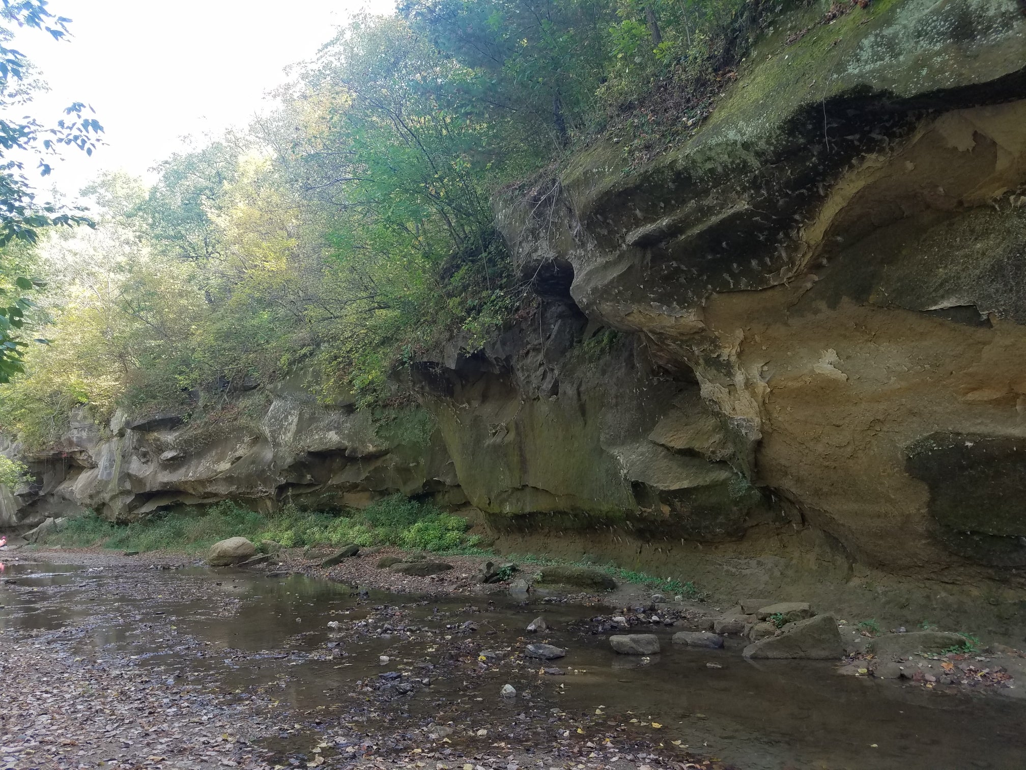 Camper submitted image from Ledges State Park Campground - 1