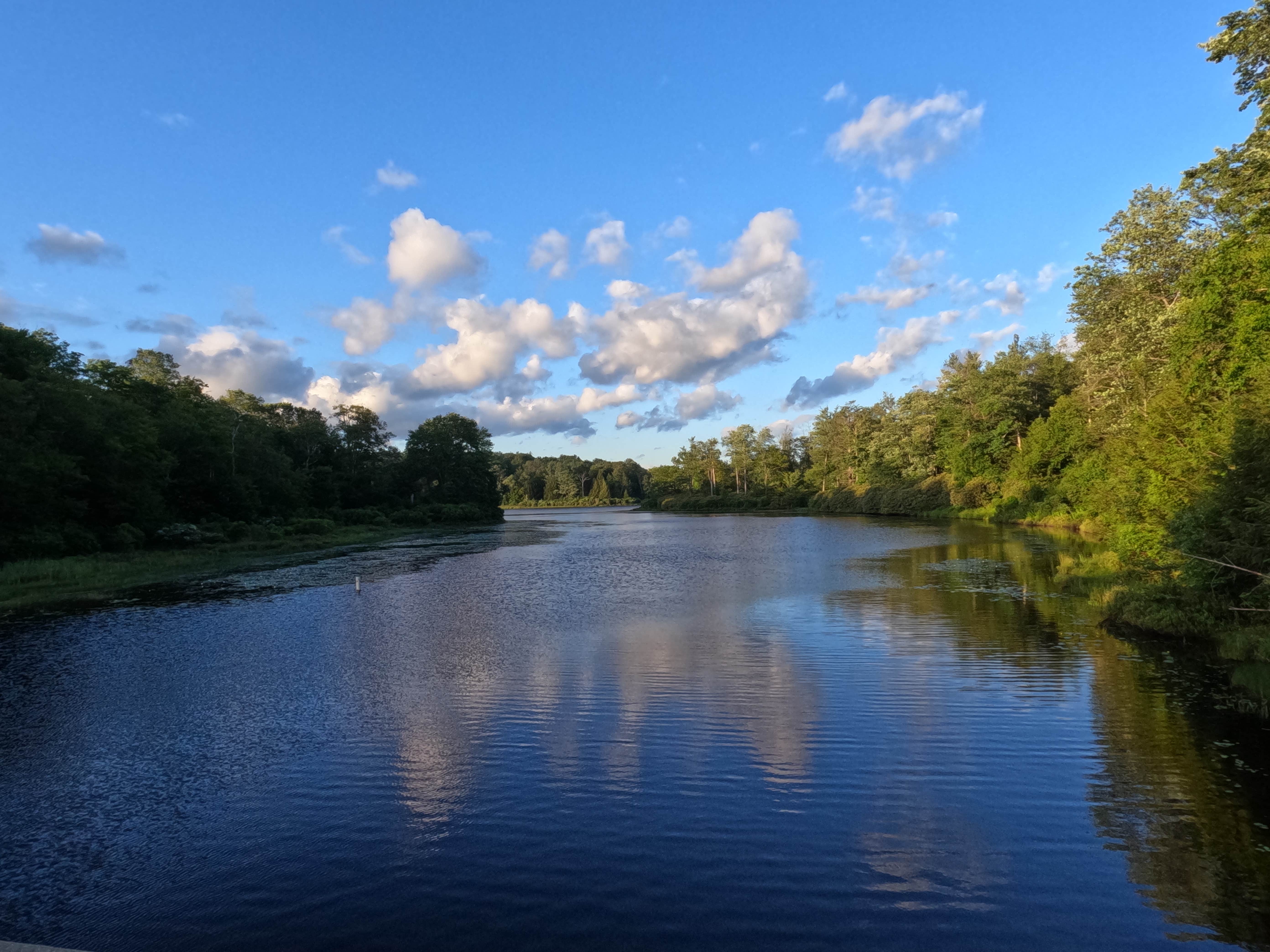 Camper submitted image from Lower Lake Campground Rhododendron Area — Promised Land State Park - 1