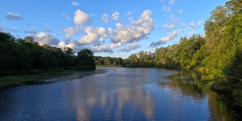 Camper submitted image from Lower Lake Campground Rhododendron Area — Promised Land State Park