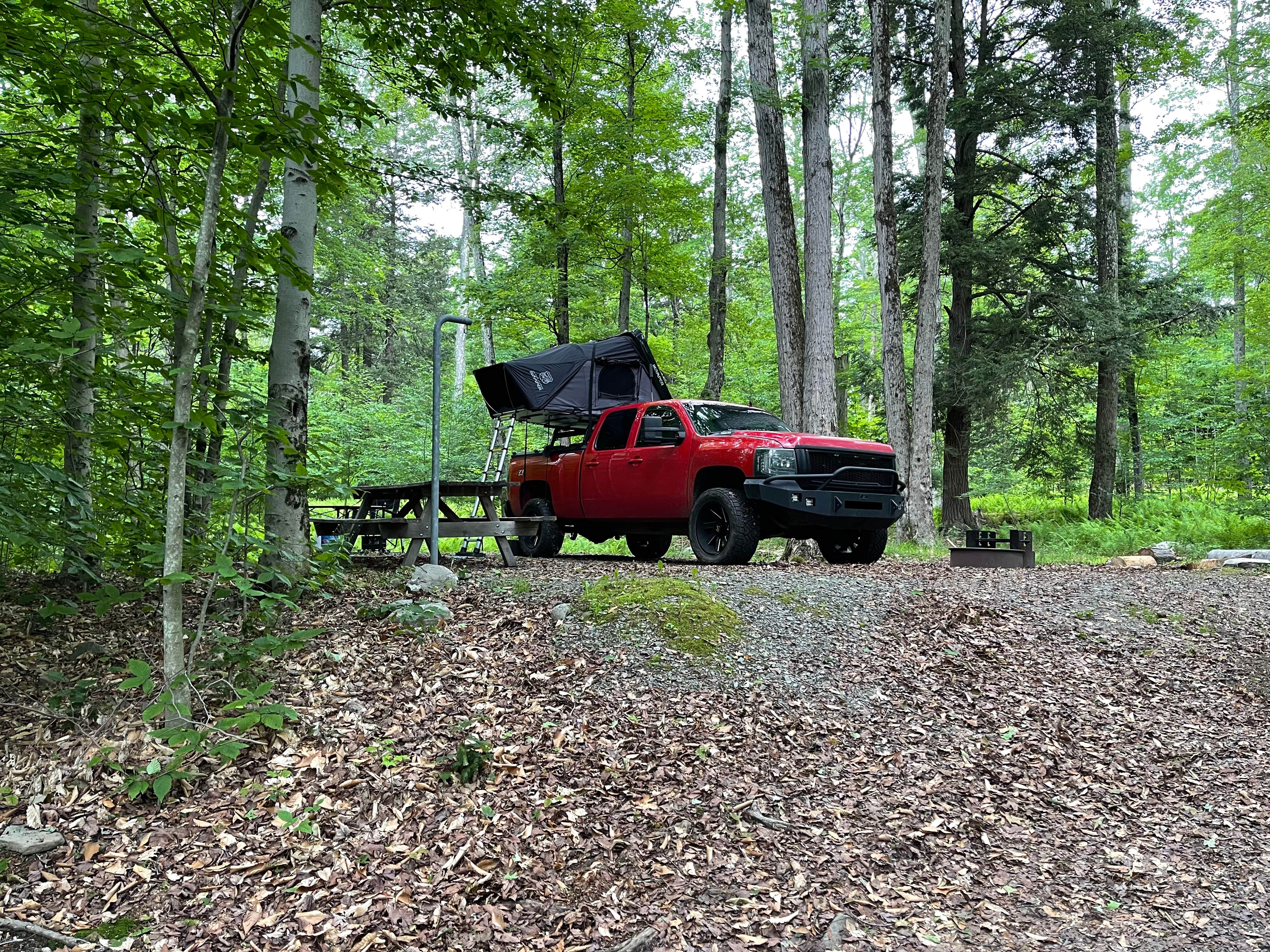 Camper-submitted photo at Lower Lake Campground Rhododendron Area — Promised Land State Park near Hawley, PA