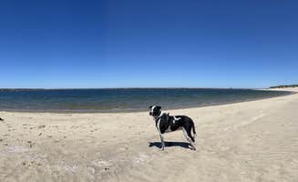 Dawn K.'s photo of camping with pets at Windy Cove Campground (Section A) near Siuslaw National Forest