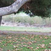 Review photo of Thousand Trails San Benito by Bonnie O., June 26, 2022