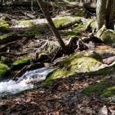 Review photo of Locust Lake State Park Campground by Jim B., June 26, 2022