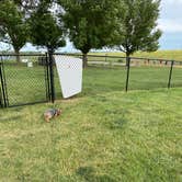 Review photo of Sioux Falls Yogi Bear by Tammie L., June 26, 2022