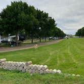 Review photo of Sioux Falls Yogi Bear by Tammie L., June 26, 2022