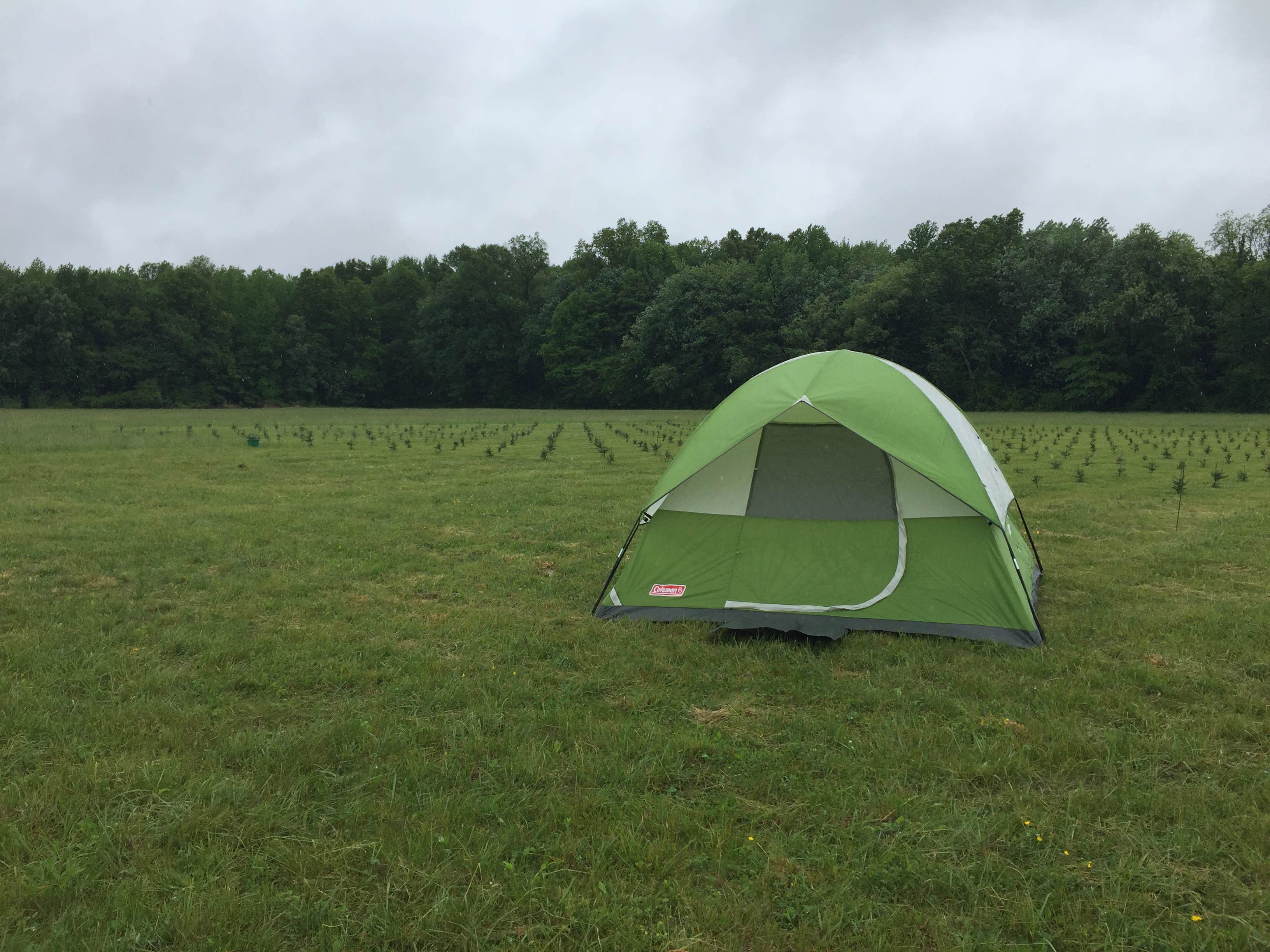 Kelly B.'s photo at Prancing Deer Farm in Maryland