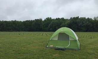 Camping near Cecil County Permaculture: Prancing Deer Farm, Middletown, Maryland
