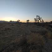 Review photo of Ryan Campground — Joshua Tree National Park by Stephanie M., June 26, 2022