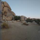 Review photo of Ryan Campground — Joshua Tree National Park by Stephanie M., June 26, 2022