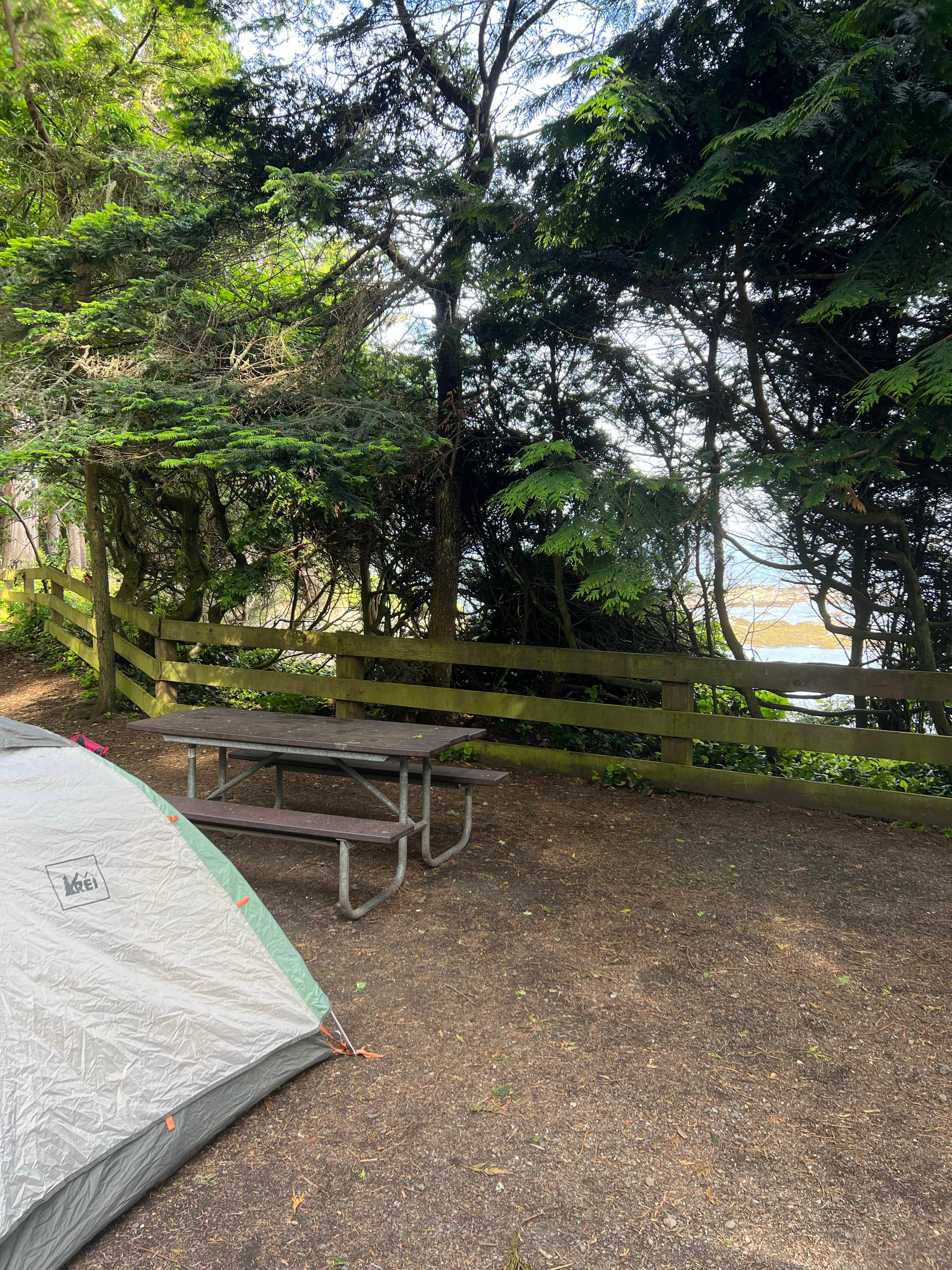 Grace's photo at Salt Creek Recreation Area near Joyce, WA