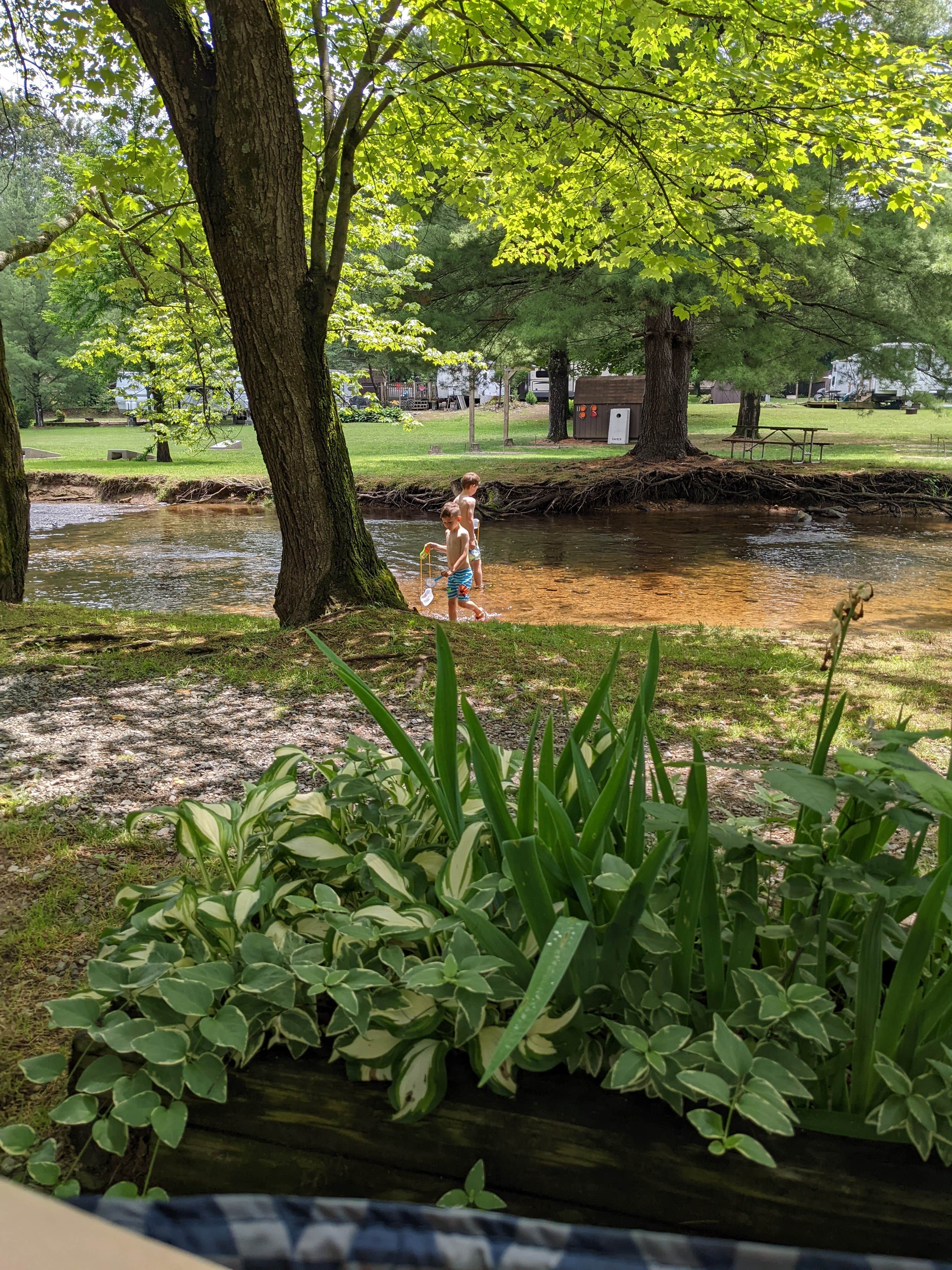Camper-submitted photo at Mountain Creek Camp Ground near Carlisle, PA