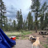 Review photo of Kelsey Campground by Chad C., June 26, 2022