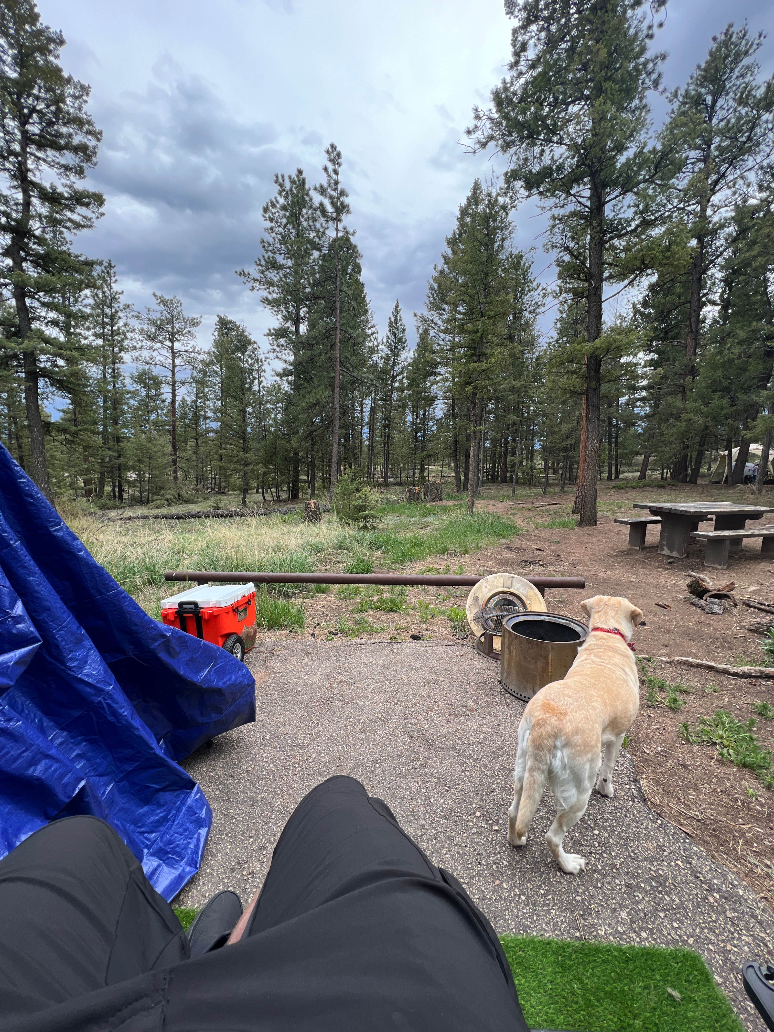 Camper submitted image from Kelsey Campground - 5