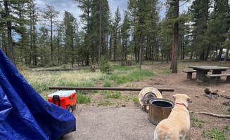 Chad C.'s photo of camping with pets at Kelsey Campground near Buffalo Creek, CO