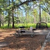 Review photo of Reed Bingham State Park Campground by Lorilee S., June 26, 2022