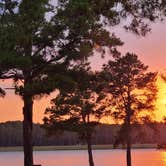 Review photo of Reed Bingham State Park Campground by Lorilee S., June 26, 2022