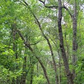 Review photo of Reed Bingham State Park Campground by Lorilee S., June 26, 2022