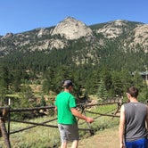 Review photo of Aspenglen Campground — Rocky Mountain National Park by Stephanie S., July 16, 2018