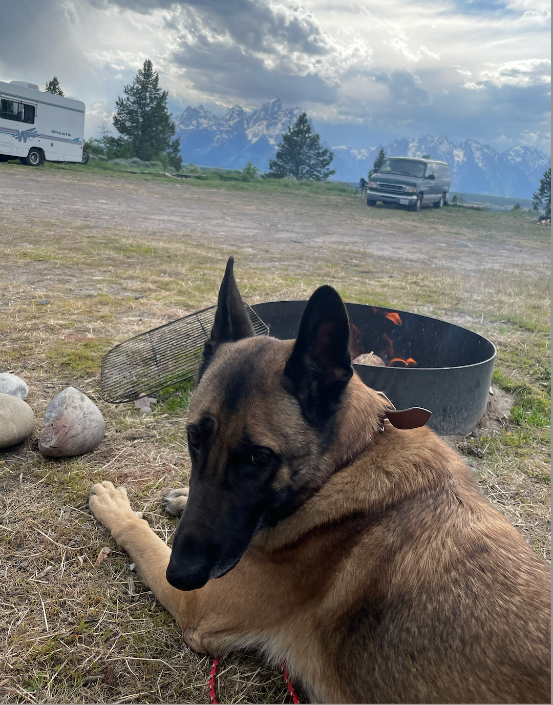 Marie B.'s photo of camping with pets at Upper Teton View Dispersed near Moran, WY