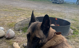 Marie B.'s photo of camping with pets at Upper Teton View Dispersed near Grand Teton National Park