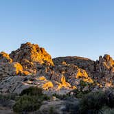 Review photo of Sheep Pass Group Campground — Joshua Tree National Park by Corey B., June 26, 2022