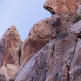 Review photo of Sheep Pass Group Campground — Joshua Tree National Park by Corey B., June 26, 2022