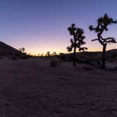 Review photo of Sheep Pass Group Campground — Joshua Tree National Park by Corey B., June 26, 2022